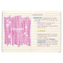 Ooly 6 Renkli Tükenmez Kalem Astronaut - Mavi