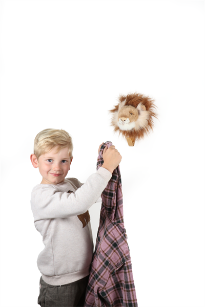 Duvar Askısı, Aslan