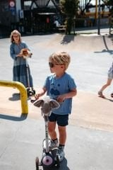 Scooter Aksesuarı, Fil