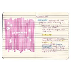 Ooly 6 Renkli Tükenmez Kalem Astronaut - Mor