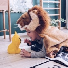 Lion Lamba First Light