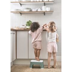 BabyBjörn Safe Step Banyo Basamağı / Deep Green