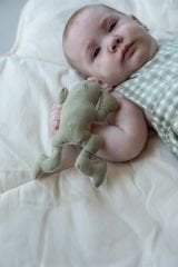 Lily Pond, 3'lü Krinkle ve Çıngıraklı Bebek Oyuncak Seti