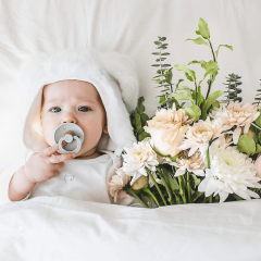 Bibs Emzik, Vanilla (6-18 Ay)