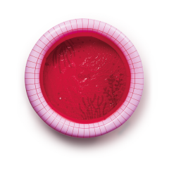Quut Dippy Şişme Çocuk Yüzme Havuzu / Çap 120  cm /Cherry