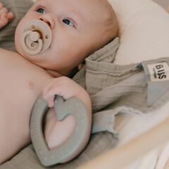 Bibs Diş Kaşıyıcı, Baby Bitie Heart Blush