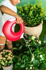 Quut Cana Çift Taraflı Çocuk Sulama Kabı  / Large / Cherry