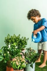 Quut Cana Çift Taraflı Çocuk Sulama Kabı / Large / Ocean