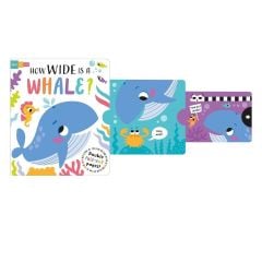 How Wide Is A Whale