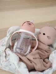 Beaba Şeffaf Pipetli Suluk (300 ml), Old Pink