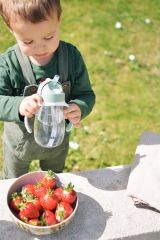 Beaba Şeffaf Pipetli Suluk (300 ml), Sage Green