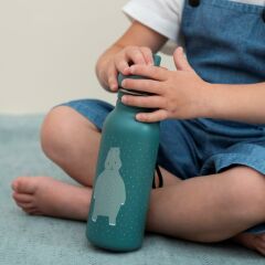 Trixie Çelik Su Şişesi (500 ml), Mr. Hippo