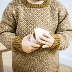 Dantoy Bio Dondurma Seti