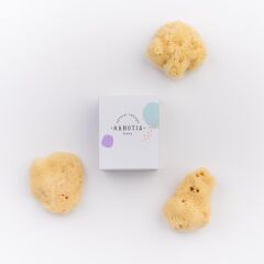 Agnotis Baby Doğal Deniz Süngeri