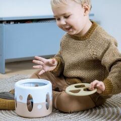 Dantoy Tiny Bio Şekil Sıralayıcı