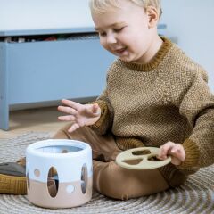 Dantoy Tiny Bio Şekil Sıralayıcı