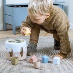 Dantoy Tiny Bio Şekil Sıralayıcı