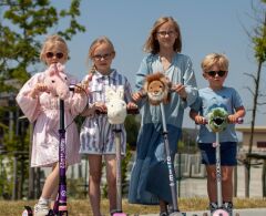 Scooter Aksesuarı, Ayı