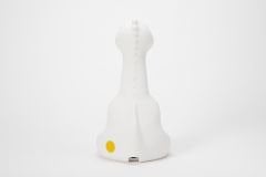 Nova Lamba First Light