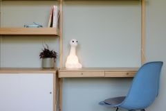 Nova Lamba First Light