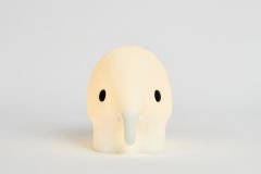 Elephant Lamba First Light