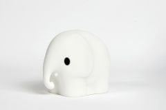 Elephant Lamba First Light