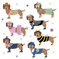 FLOSS & ROCK Mıknatıslı Giydirme Setleri/Pets