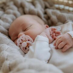 Bibs Boheme Emzik, Vanilla (6-18 Ay)