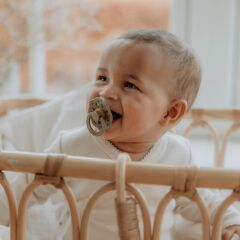 Bibs Boheme Emzik, Blush (6-18 Ay)