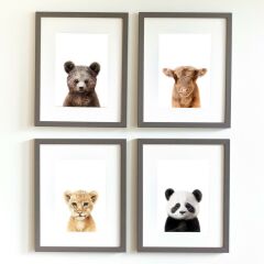 LFA Paul the Bear Çerçeveli Poster (M)