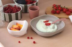 Beaba 4lü silikon beslenme seti, Terracotta/Gazelle