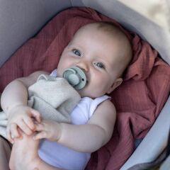 Bibs Deluxe Silikon Emzik - Blossom (0-36 Ay)