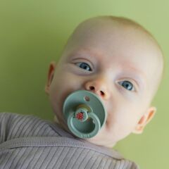 Bibs Emzik, Ladybug Sage (0-6 Ay)