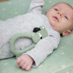 Trixie Kauçuk Diş Kaşıyıcı, Mr. Polar Bear