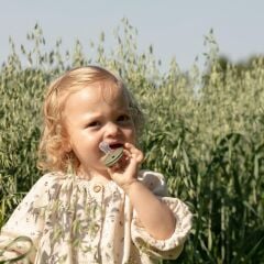 Bibs Emzik, Vanilla (18+ Ay)