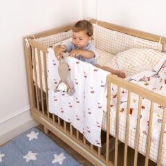 Jera Mini Çocuk Nevresim Seti, Gurme Tilki & Kareli