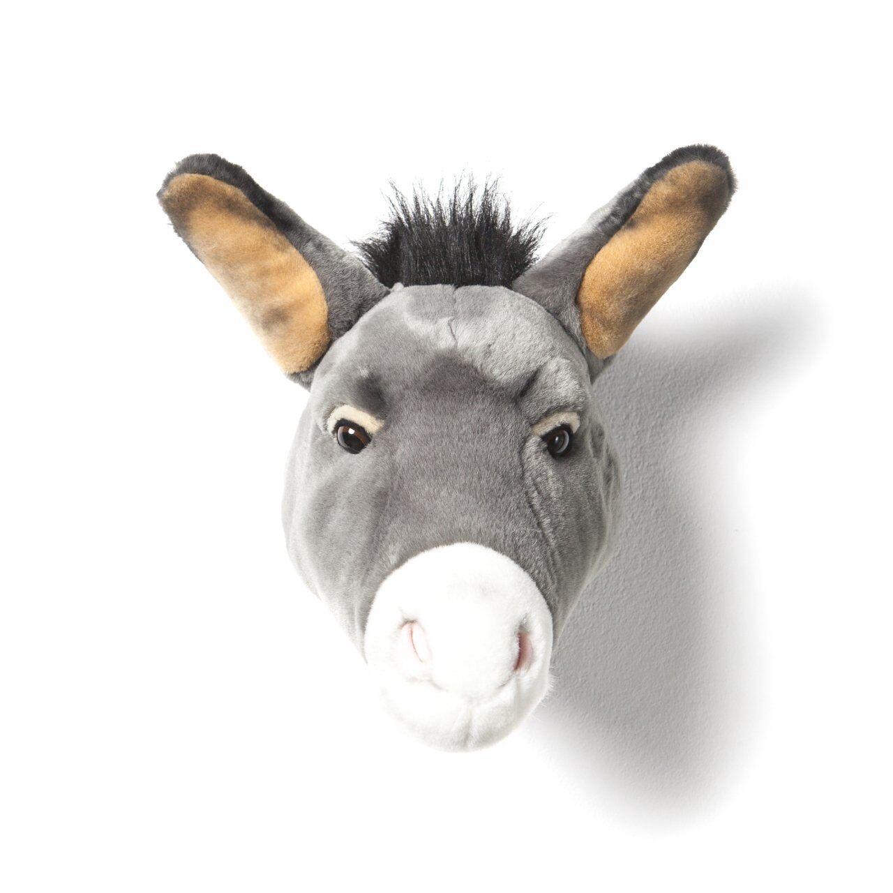 Eşek Francis Duvar Aksesuarı