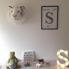 Kaplan Albert Duvar Aksesuarı