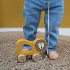 Trixie Ahşap Çek Çek, Mrs. Rabbit