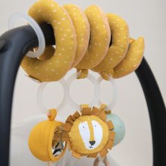 Trixie Spiral Puset Oyuncağı, Mr. Lion