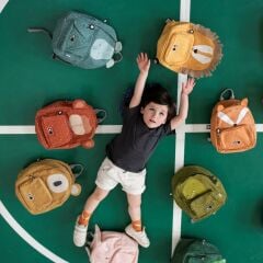 Trixie Sırt Çantası, Mr. Monkey