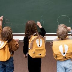 Trixie Sırt Çantası, Mr. Lion