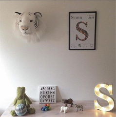 Duvar Aksesuarı Kaplan 'Albert'