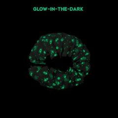 Play & Go - Fosforlu Space